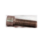Bolt, M10 x 30, to mount motor to bracket used on all models