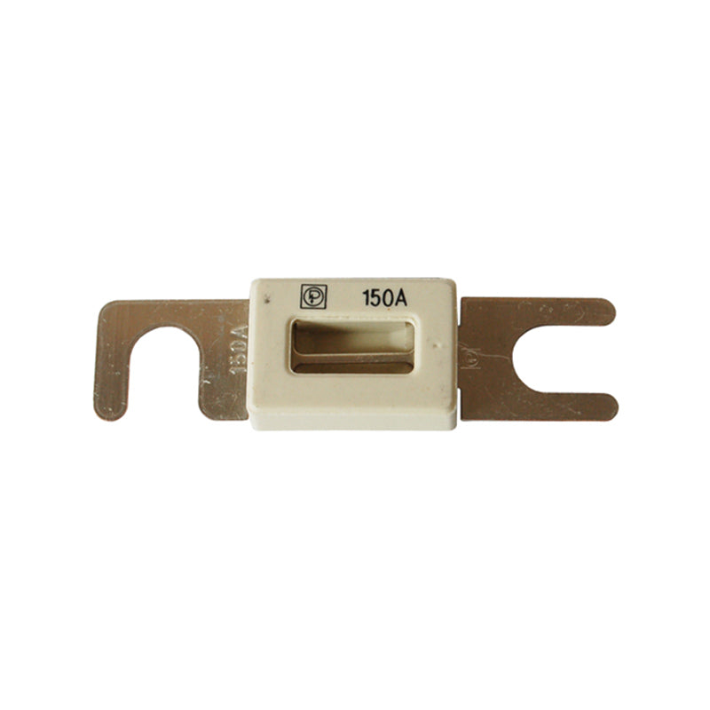 Fuse, ANL 100 amp for EX35S, EX25C, EX95S, EX70C, EX180D (2)