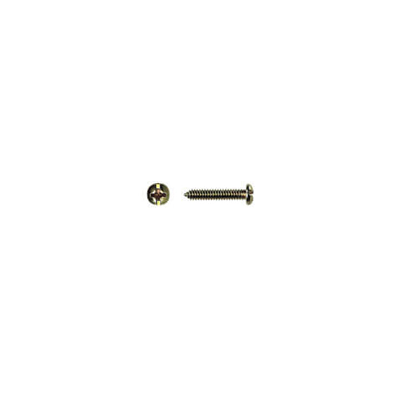 SCREW: 19mm FOR FRAME ON MOUNTING BOX (each)
