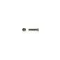 SCREW: 19mm FOR FRAME ON MOUNTING BOX (each)