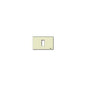 8000 Series Square Cover Plate, Ivory, Resin, 1 Module, Fits Mounting Frame VM08531