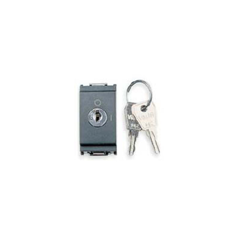 SWITCH: MOMENTARY,2P1T(NO/NO) 16A, KEY-OPERATED, GREY, IDEA