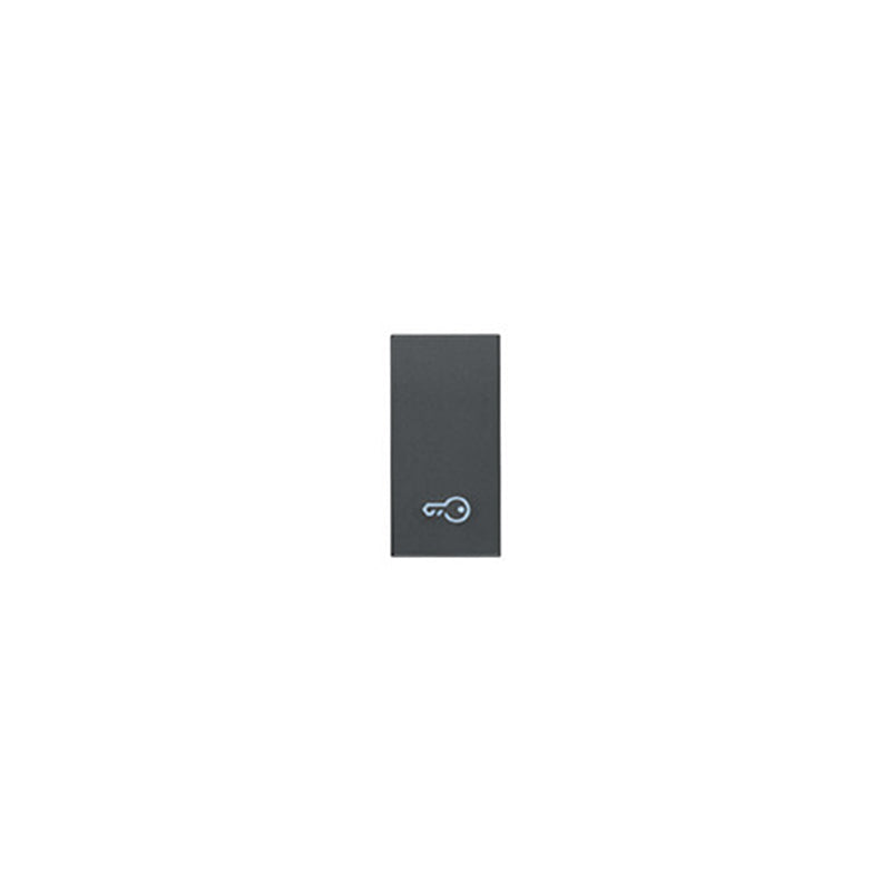 Eikon Interchangeable Switch Cover Only, Key Symbol, Illuminable, 1 Module, Grey