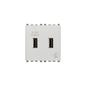 Eikon 2 X USB High Power Charge Port for Tablets, 120-230V-5V/2.1A, 2 Module, Next