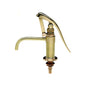 WS62 Lever Pump, Brass