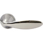 Brass door handles