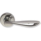 Brass door handles