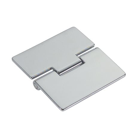 Brass flush hinge