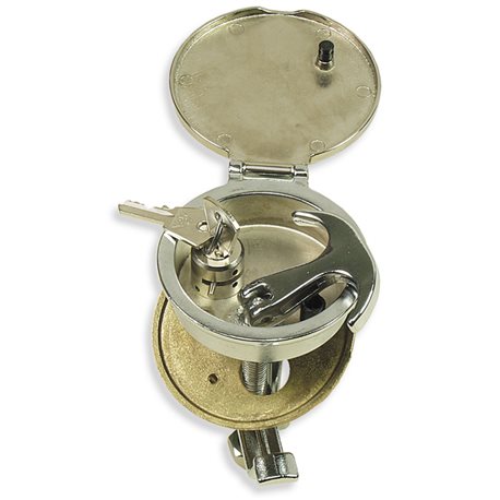 Brass lifting rings