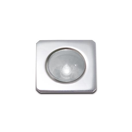 CIRCINUS QT