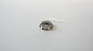 08B02A Corona incasso per chiusure: 09B01A, 09B02A, 09B03A, 09B04A, 09B14A
