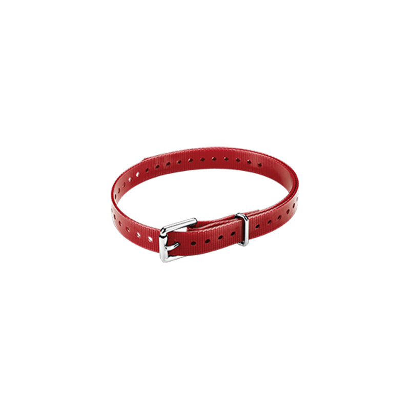 3/4" Roller Buckle Collar Strap (Red)