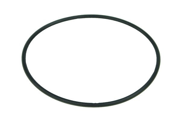 Sea Water Strainer O-Ring for Guidi