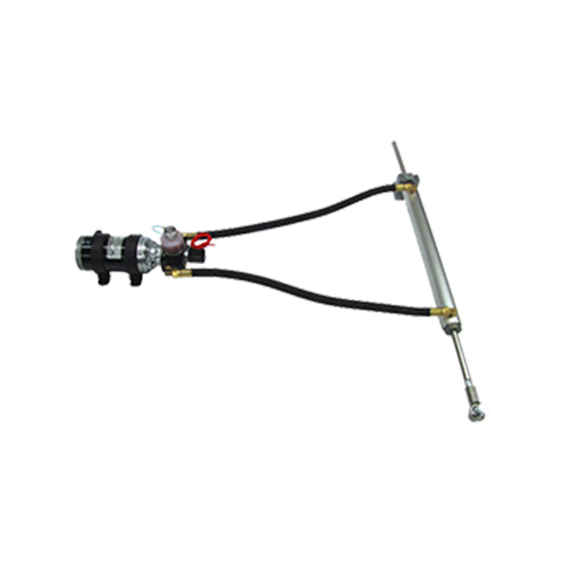 Linear Drive 38mm, 12", Remote, 12V