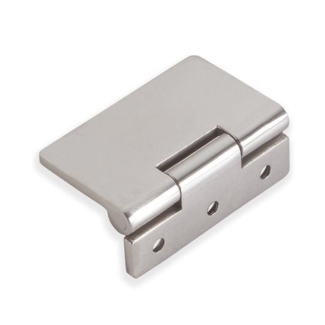 Stainless steel flush hinge
