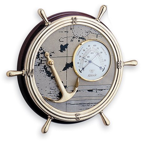Steering wheel with thermometer-hygrometer